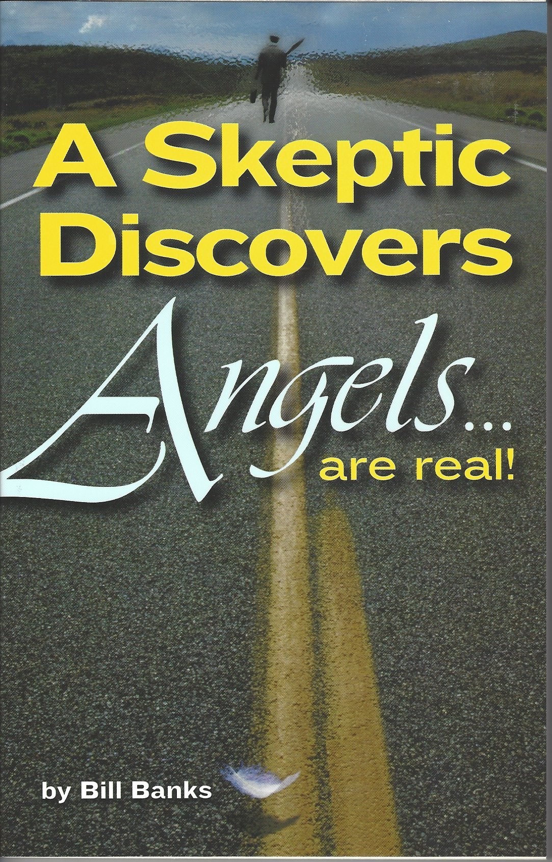 A Skeptic Discovers Angels Are Real!  (2003)