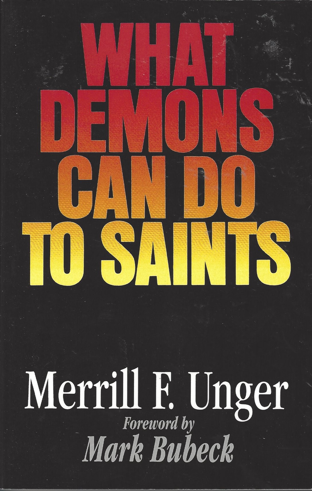 What Demons Can Do to Saints front