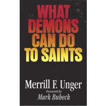 What Demons Can Do to Saints front