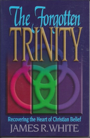 The Forgotten Trinity  Recovering The Heart Of Christian Belief    Front